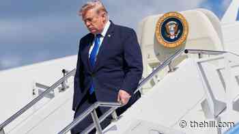 39 percent approve of Trump performance on immigration: Survey