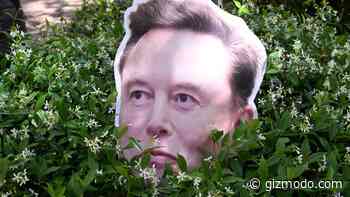 No One Knows What the Hell Elon Musk’s AI Graph Means