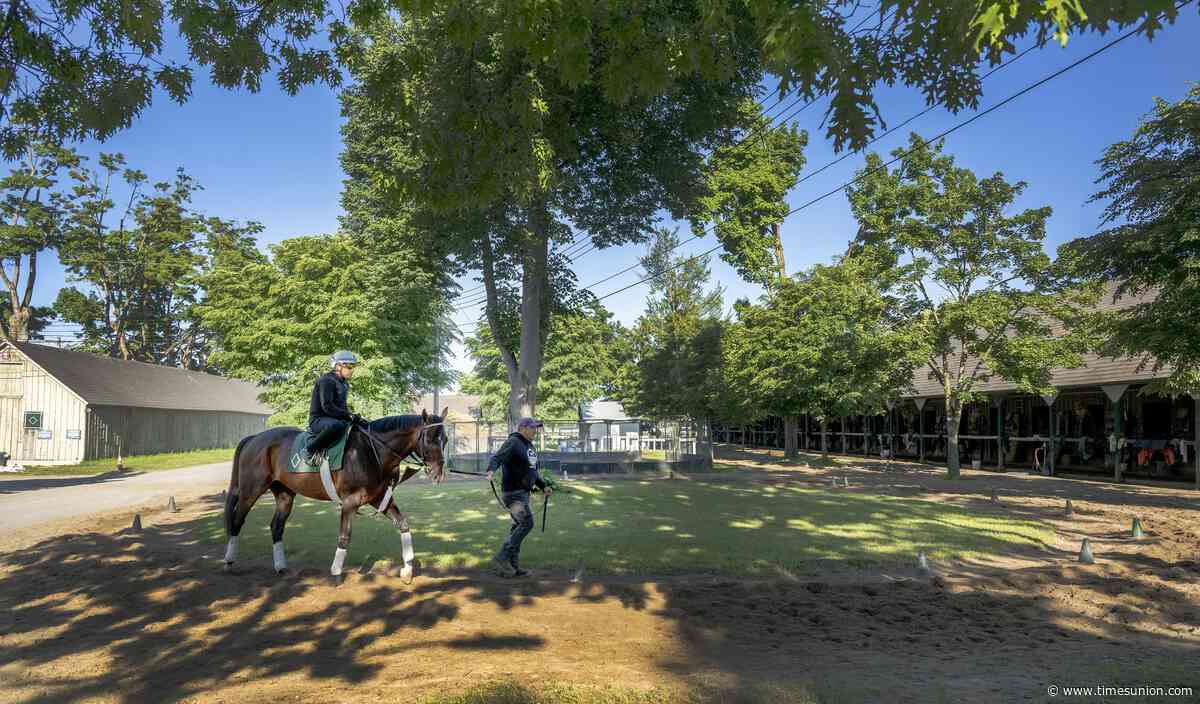 Magnitude, Sovereignty or Nitrogen? Someone else? Here's why each horse could win the 2026 Whitney Stakes.