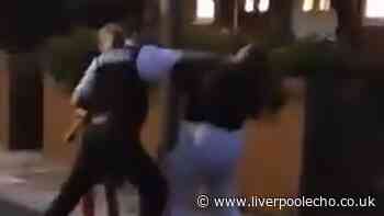 Mum asks 'are you stupid' while grappling with police officer