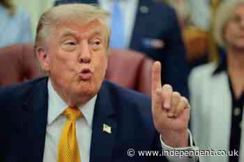 Trump lashes into Jeanine Pirro saying she ‘choked’ on reflecting pool ‘vandalism’ and ‘folded like an umbrella’