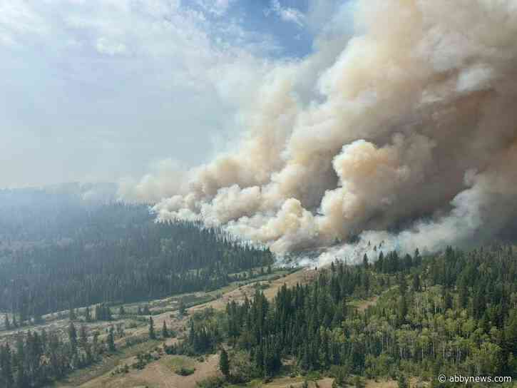 500 wildland, structural firefighters responding to Pear Lake fire