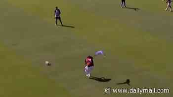 Match delayed by PARROT attack: Incredible moment Brazilian youth game is stopped as bird swoops down on player