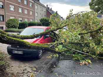 Wetter in NRW: Teils schwere Gewitter mit Starkregen