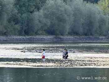 Insel Nonnenwerth durch niedrigen Rheinpegel zugänglich