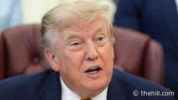 Trump praises Max Miller, calls dispute with ex-wife 'a very sad thing'