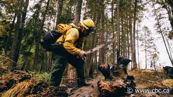 Wildfire personnel from Mexico arrive in B.C.