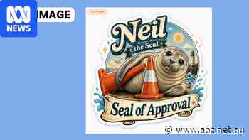 Neil the seal merch site taken down after questions about donation claim
