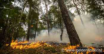 Limburgse natuurbrand breidt zich niet verder uit, maar is nog niet onder controle