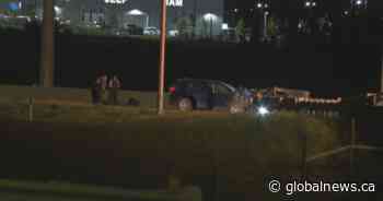 Child among 4 dead, several injured after multi-vehicle crash along Stoney Trail: police