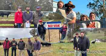 'Confidence, passion' for buyers as studs celebrate Southern Beef Week