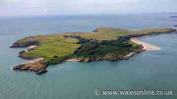 Tiny Welsh island welcomes evening visitors for the first time for exclusive solar eclipse trip