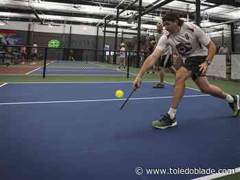 Pickleball Palooza expo marks National Pickleball Day