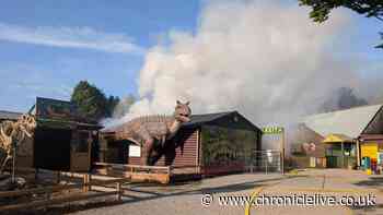 Animals killed in fire at zoo voted 'second best in UK'