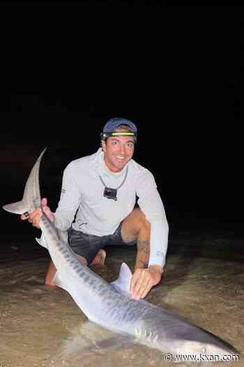 Tiger shark caught off Massachusetts could be sign of warming waters