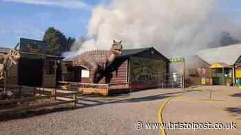 Animals killed in devastating fire at UK's 'second-best zoo'