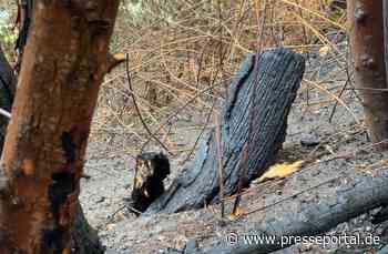 FW-MH: Flächenbrand an der Stadtgrenze