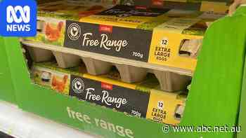 Hens moved indoors but free-range label still allowed