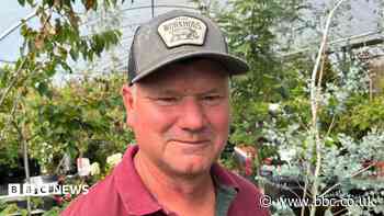 Sales of vines up as growers look to make own wine