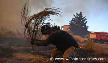 Europe's hot, dry summer takes its toll with fires in France and Greece, and drought in Britain