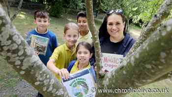 'Book fairies' hope to inspire love of reading for kids in Newcastle's West End