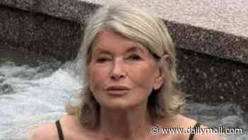 Martha Stewart celebrates 85th birthday with sultry hot tub snap after receiving star-studded tribute