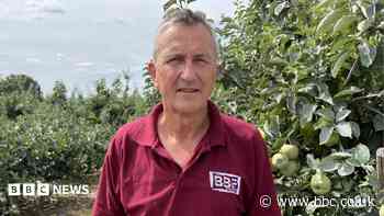 'We suncream apples' - how heatwaves are affecting farming