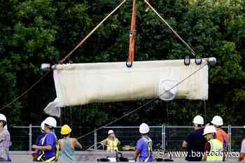 Seven more belugas on the move from Marineland to U.S. aquarium