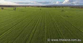 Proven south western cultivation country planted entirely with wheat