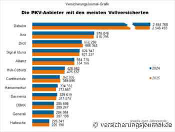 Dies sind die Krankenversicherer mit den meisten Vollversicherten