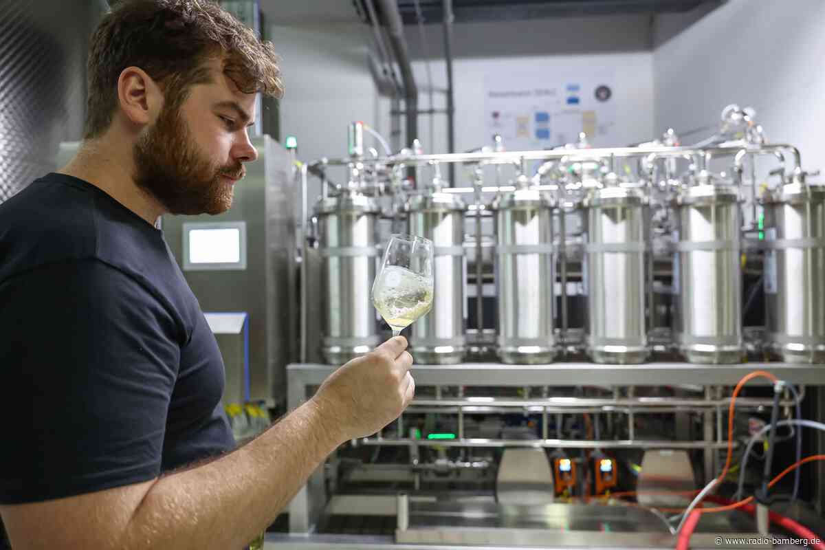 Alkoholfrei durch den Sommer – Wandel im Winzerland