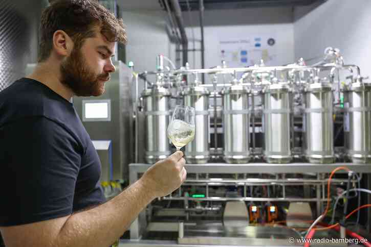 Alkoholfrei durch den Sommer – Wandel im Winzerland