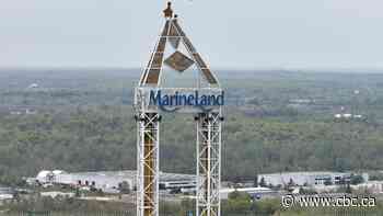 More belugas from Marineland in Niagara Falls, Ont., head to new home in U.S.