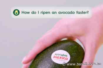 Holy Guacamole! Avocados Get Their Own ChatGPT