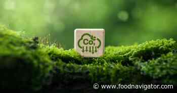 Sustainability Snippets: Coffee strategies, Coca-Cola and food waste