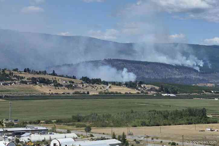 BC Wildfire reports ‘no significant growth’ on Bradley Creek wildfire