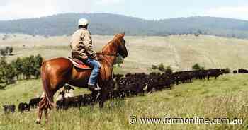 Victoria's largest cattle property sale sparks foreign ownership debate
