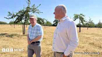How do you like them apples? Cider 'gene bank' branches out to awards