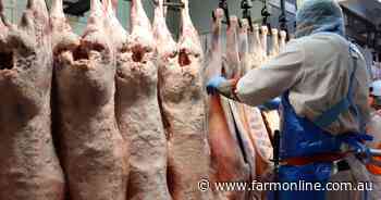 Mutton breaks new ground in real terms, but is lamb as high as it seems?
