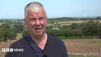 Farms 'would not survive' without diversification
