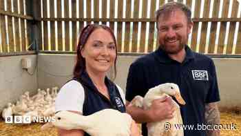 Couple new to farming shortlisted for award