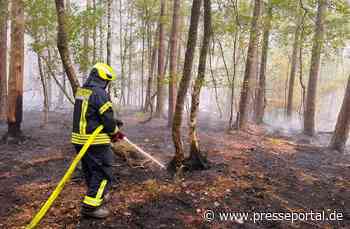 FW Heimbach: Stundenlanger und kräftezehrender Einsatz bei Waldbrand