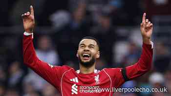 Liverpool latest: Tottenham 'eye' Cody Gakpo swoop as Bradley Barcola transfer update emerges