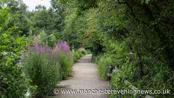 The stunning Stockport park with walking trails, an animal park and a waterfall