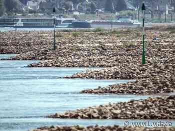Historisches Niedrigwasser: Rhein wird neu vermessen