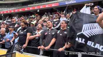 All Blacks receive hero's welcome in South Africa