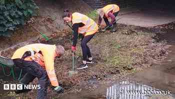 Volunteers clear brook to reduce flood risk