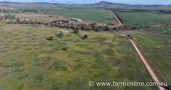 Stanley Park a successful livestock operation also well suited to farming