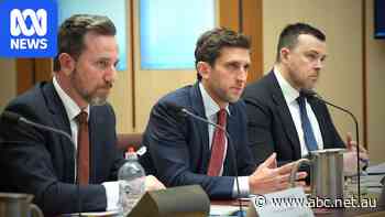 Sportsbet, TAB deny allegations reps offered escort and drugs to gambler