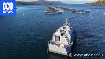 Salmon farm releasing nutrients, but EPA says it's not causing algae